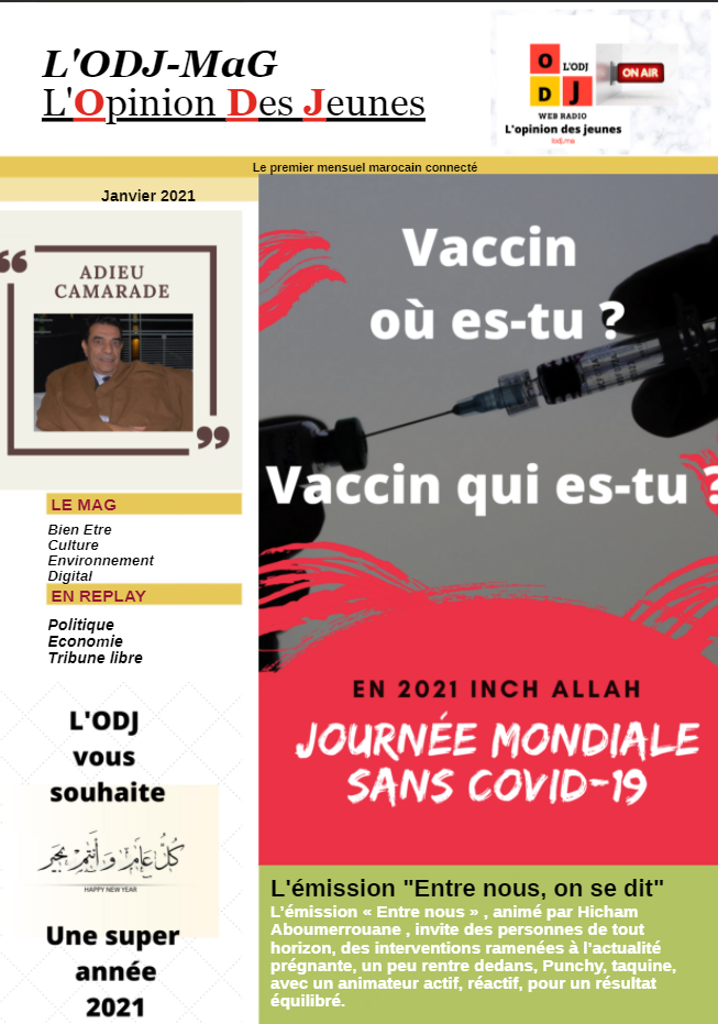 Abonnement annuel Magazine Web mensuel L'ODJ MaG